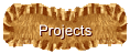 Projects